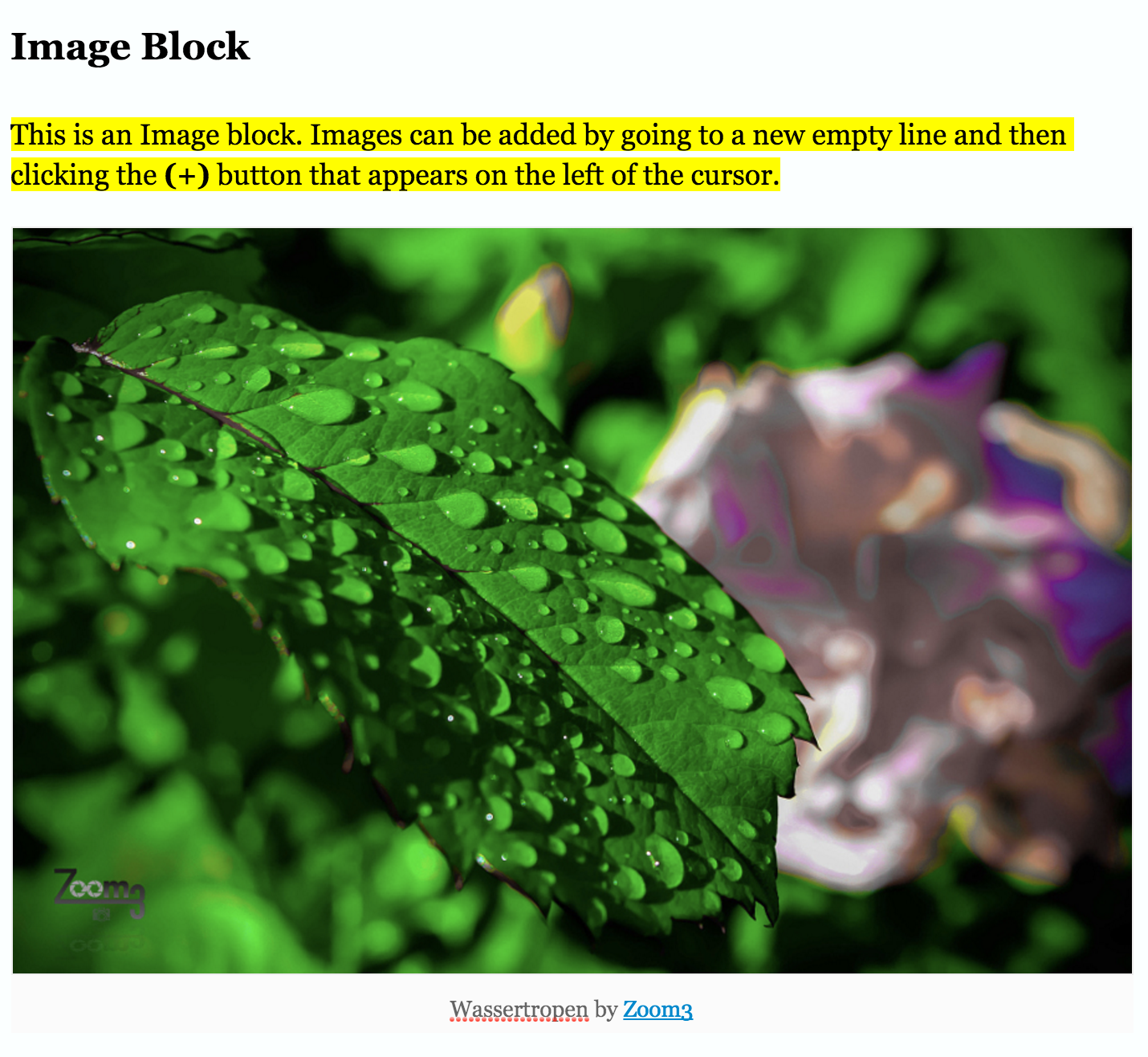 medium-draft gallery image