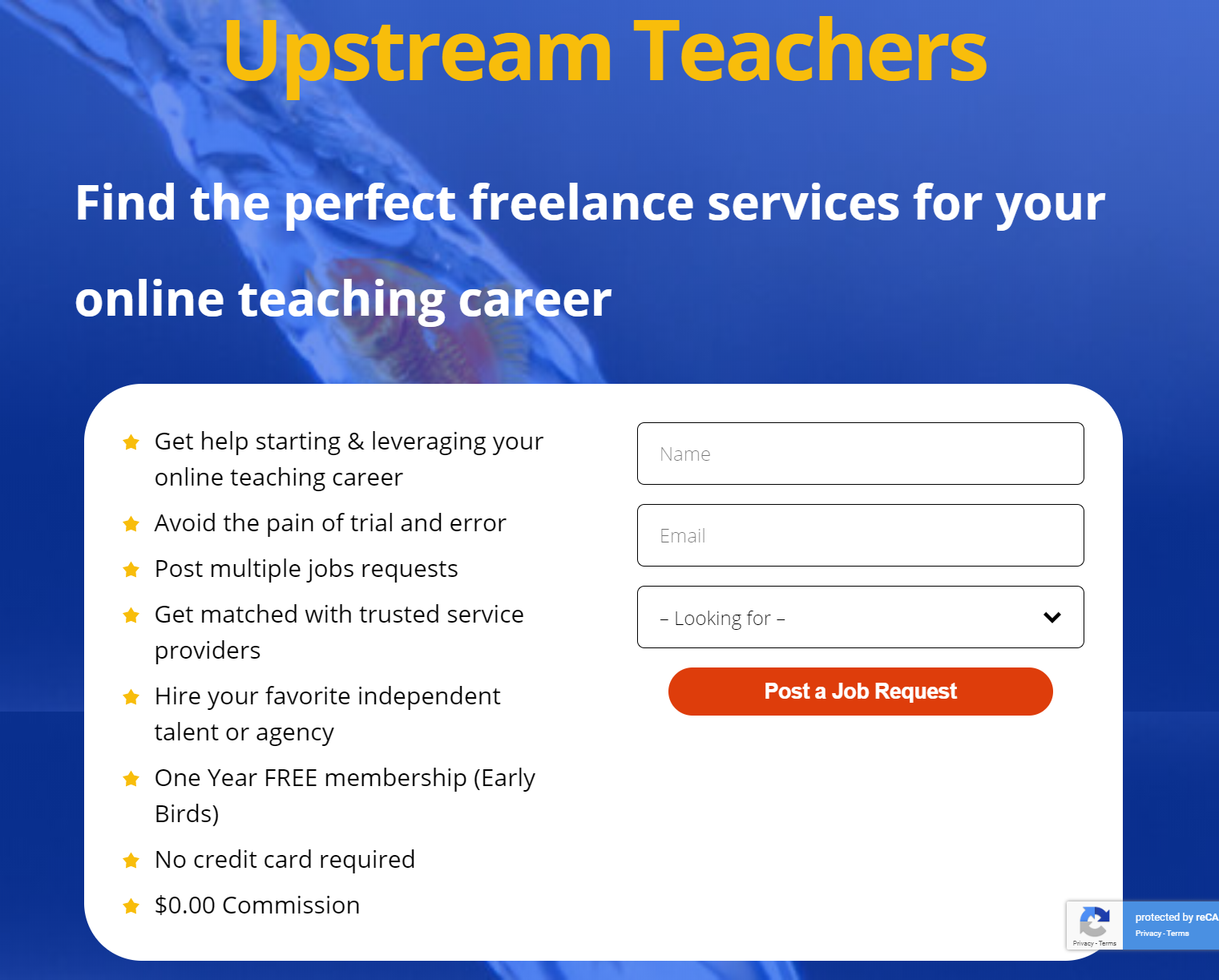 Upstream Teachers gallery image