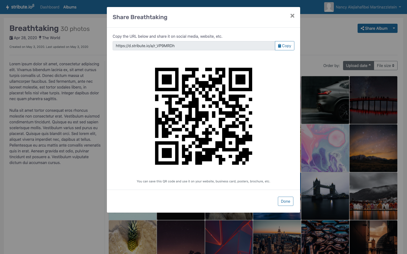 Stribute.io gallery image