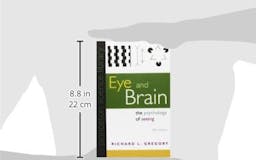 Eye and Brain media 1