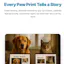 Pet Website Builder
