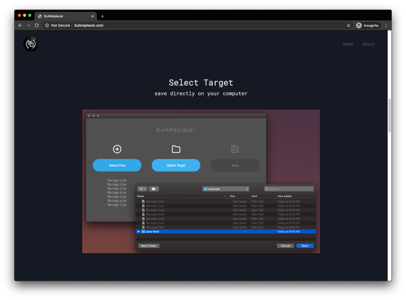 BulkReplacer gallery image