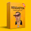 shellbag analyzer cleaner