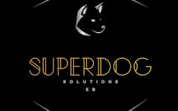 Superdog Solutions media 2