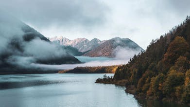 nanobanana2 gallery image