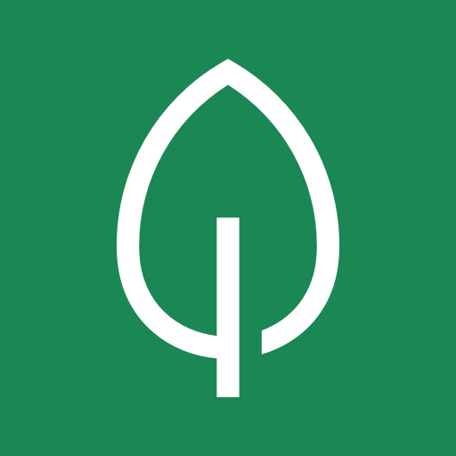 Mintereo