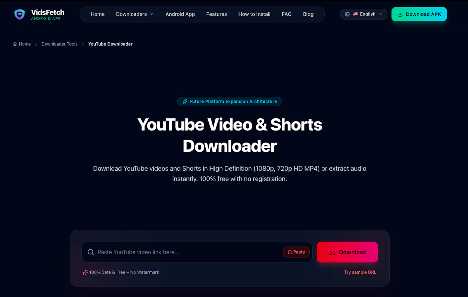 VidsFetch screenshot 2