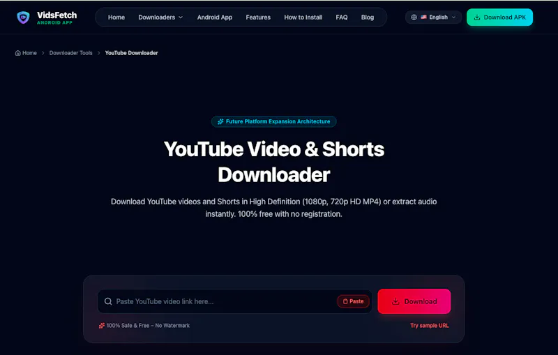 VidsFetch screenshot 2