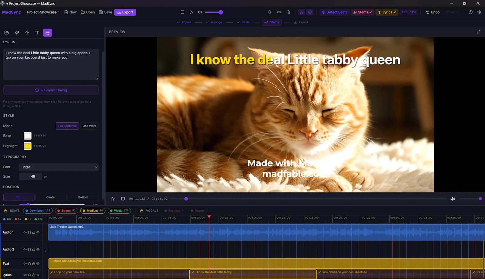 MadSync - Music Video Editor screenshot 6