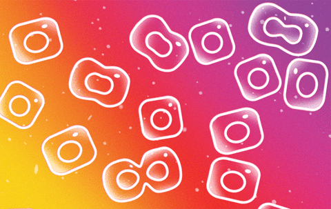 New from the co-founders of Instagram