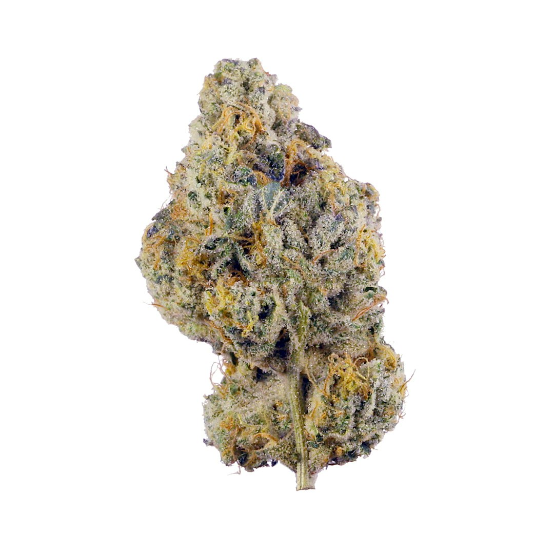 Grey Goose Strain