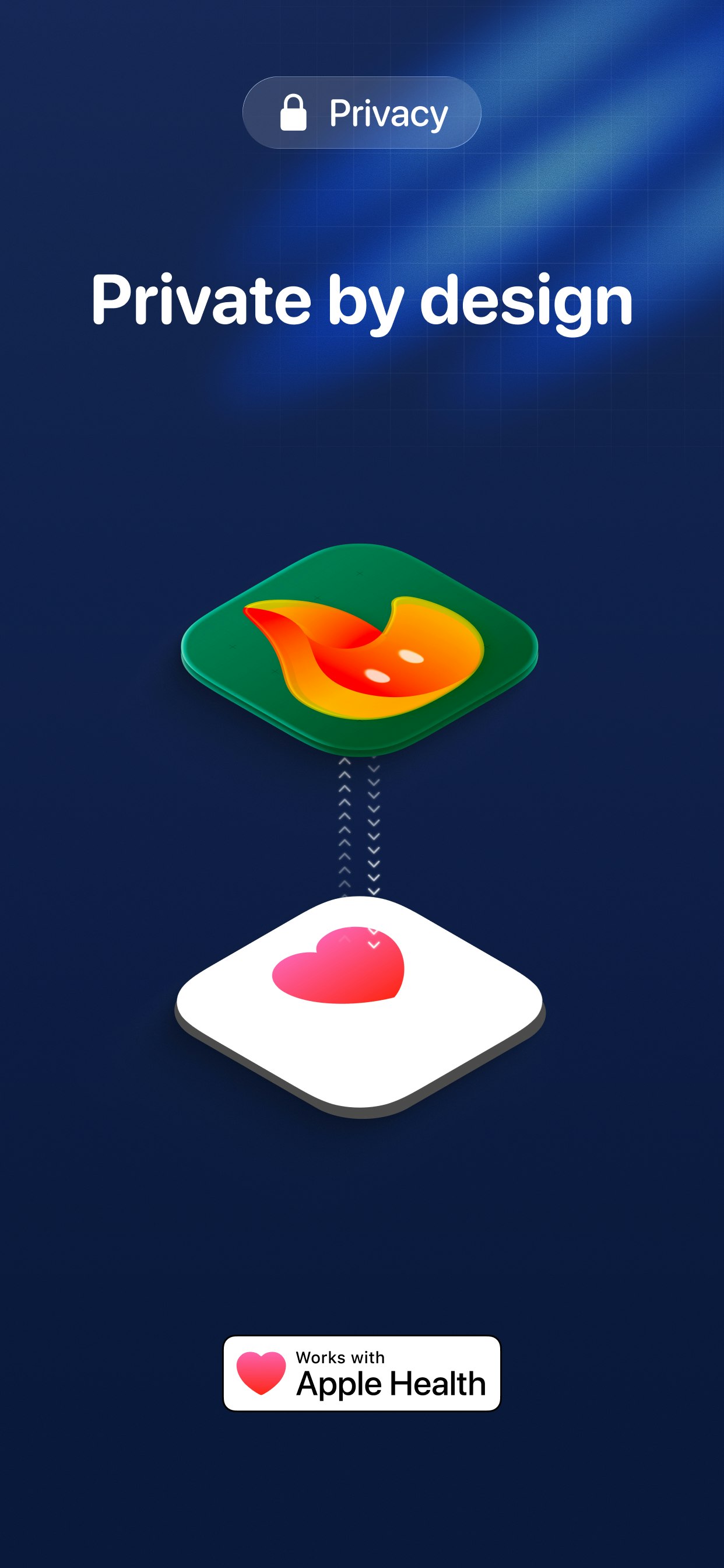 Fitwoody gallery image