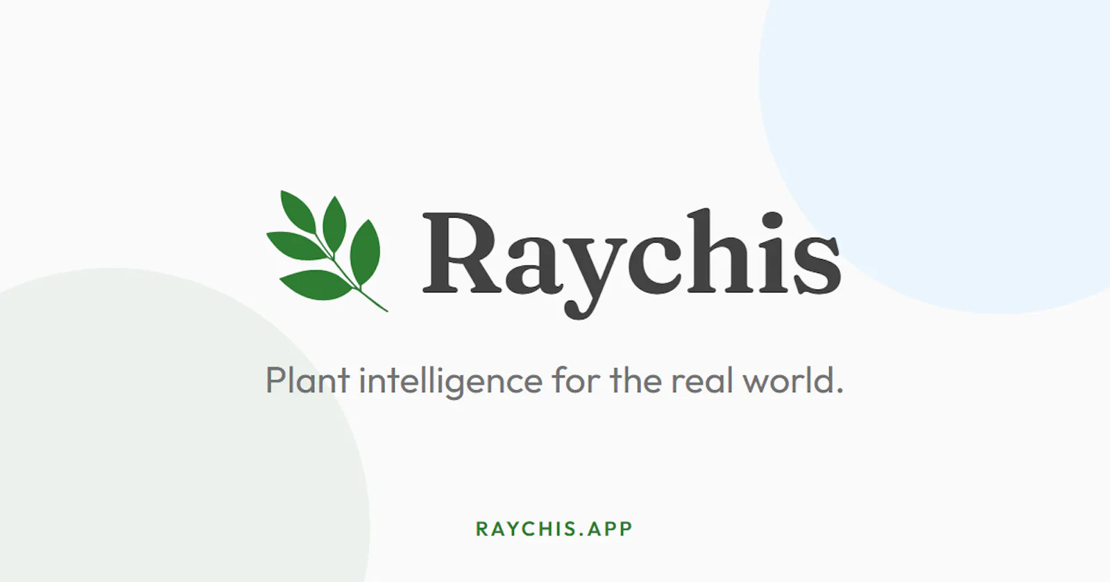 Raychis screenshot 1
