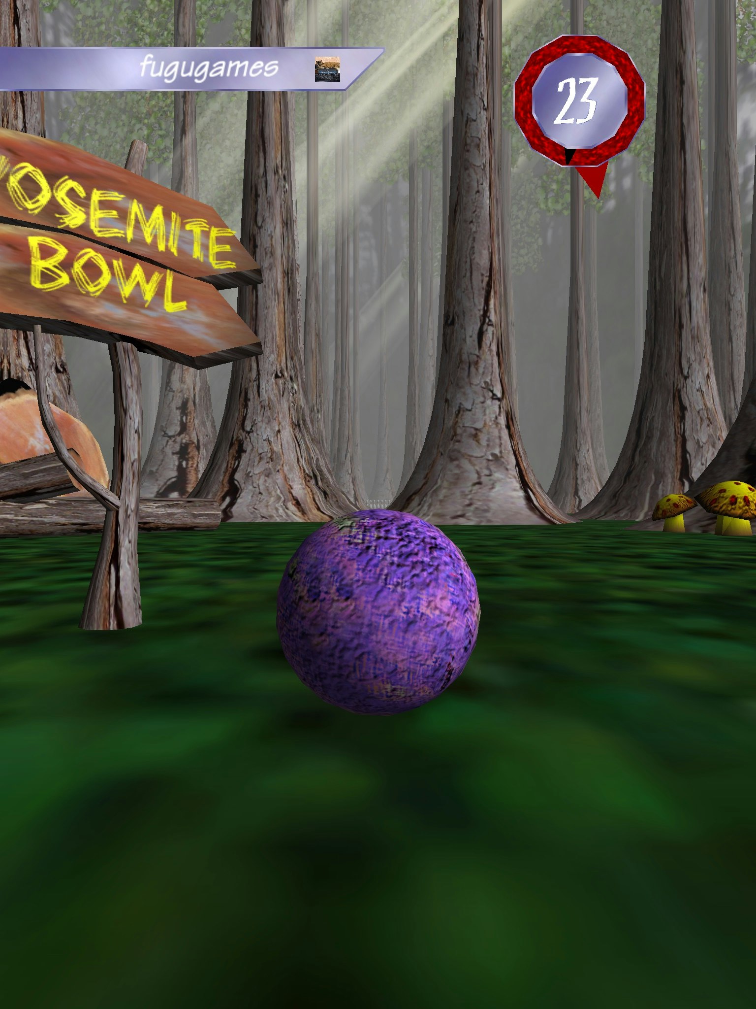 HyperBowl gallery image