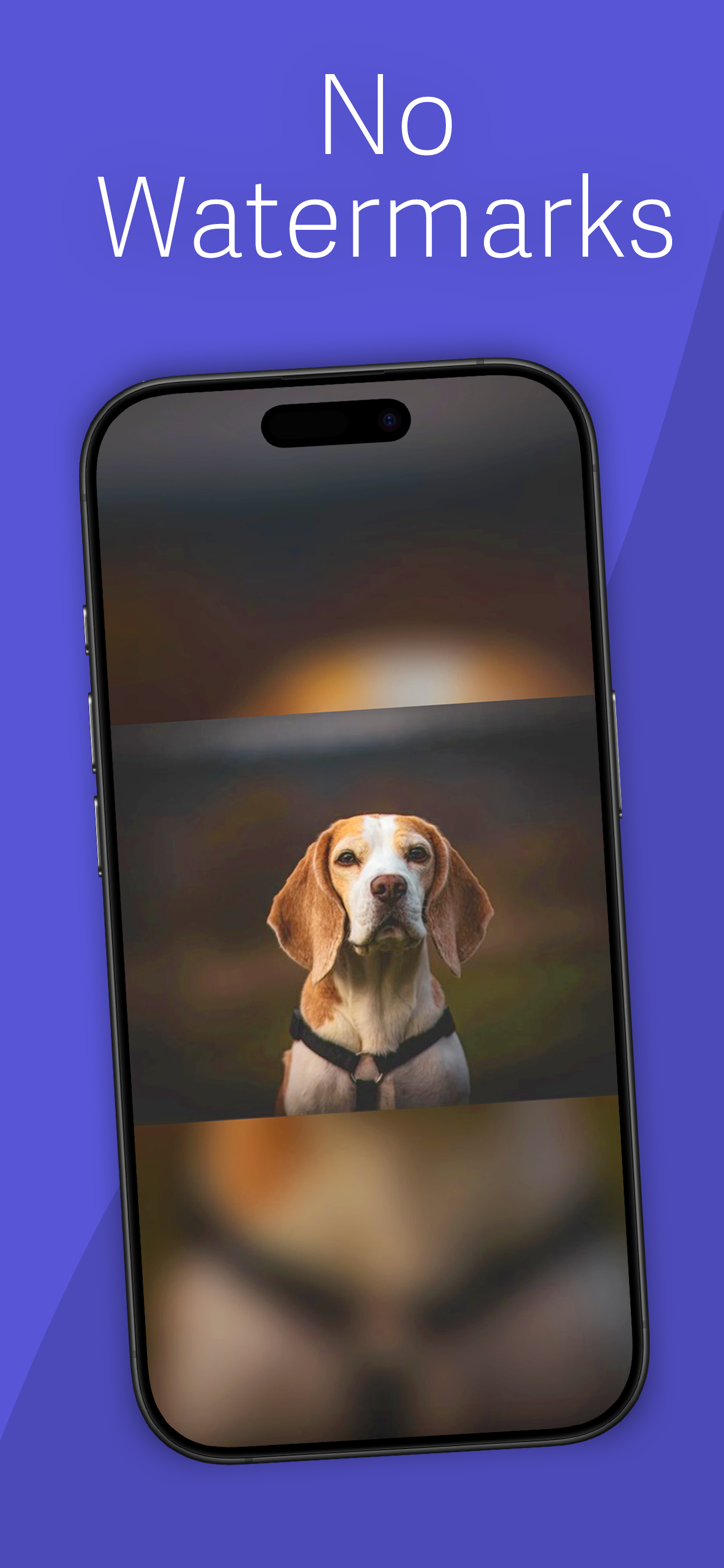 Media CanvasFit - Saiz semula & reframe gambar di iOS 3