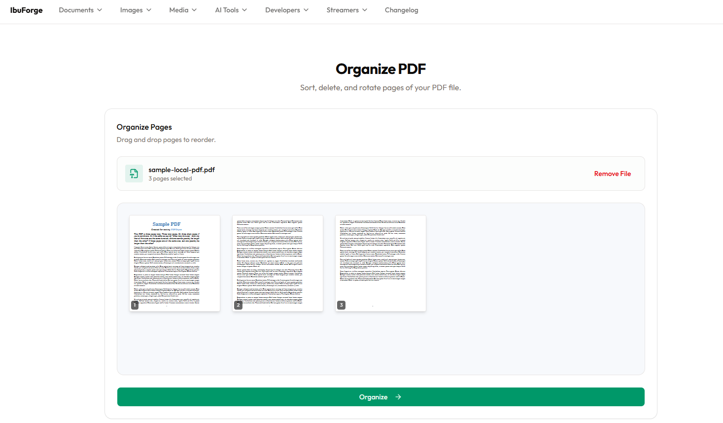 IbuForge - Screenshot 2 showing product features and functionality