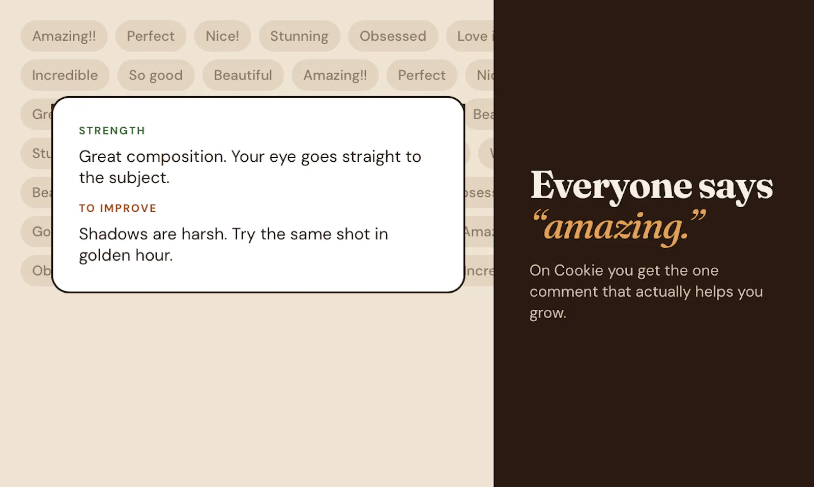 Cookie screenshot 2
