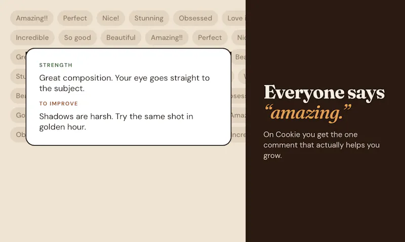 Cookie screenshot 2