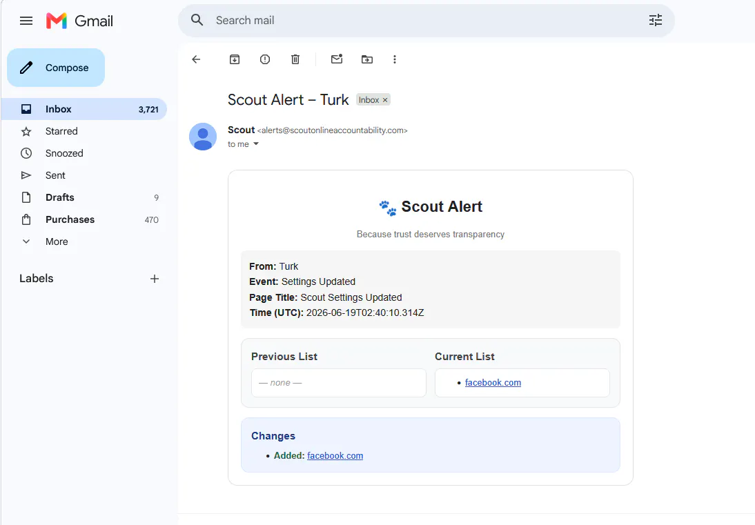Scout - Online Accountability gallery image