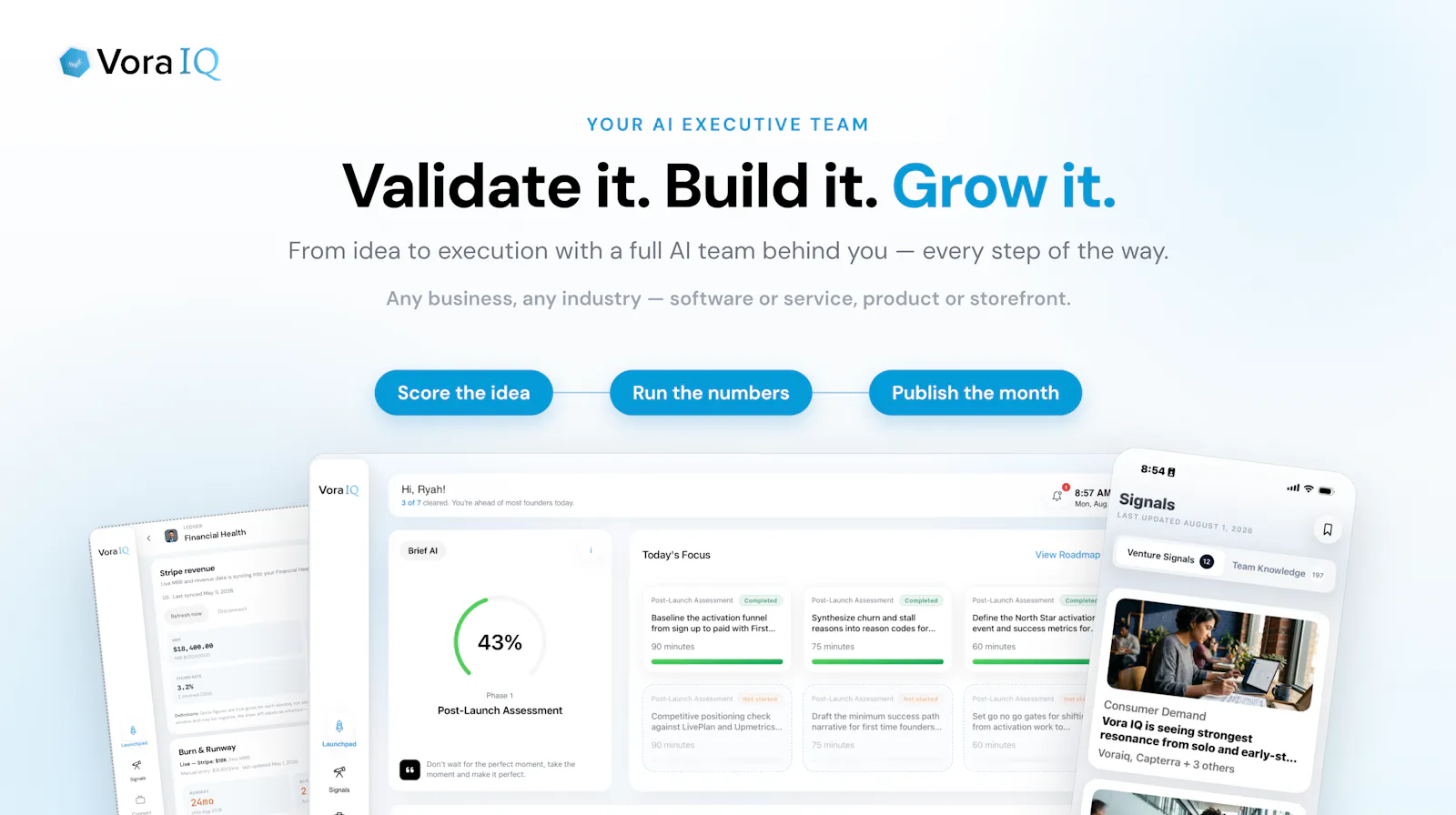 Vora IQ - StartupOS for Founders screenshot 2