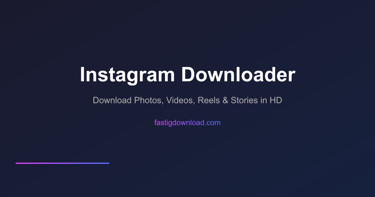 FastIGDownloader gallery image