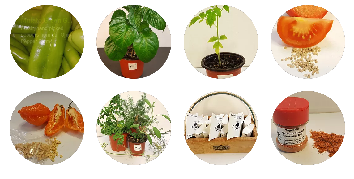 Urban Farming gallery image