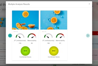 PicPulse gallery image