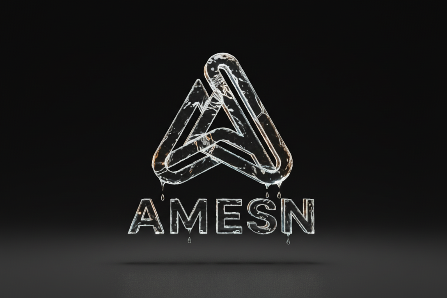 Amesn gallery image