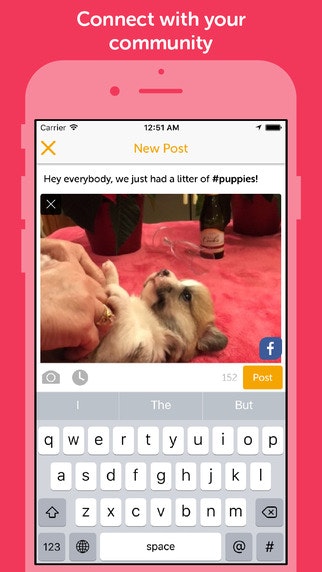 Gabbermap gallery image