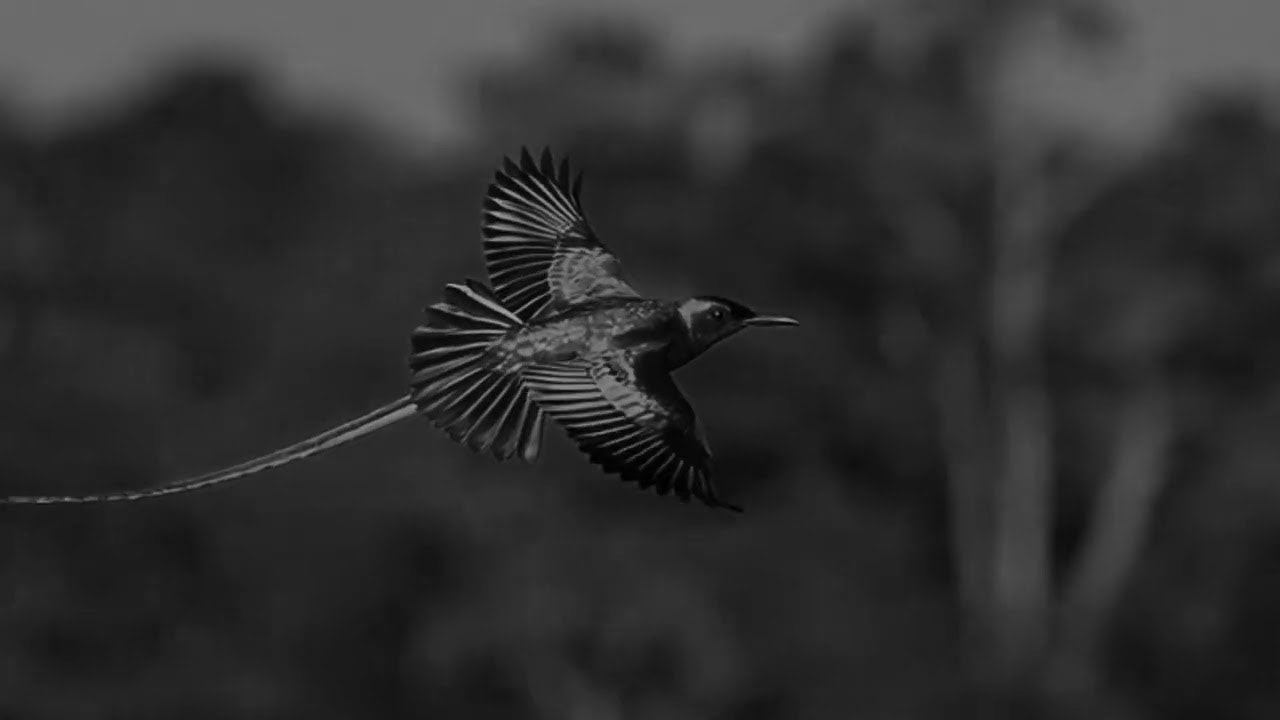 Loved Ones gallery image