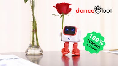 Dancebot gallery image