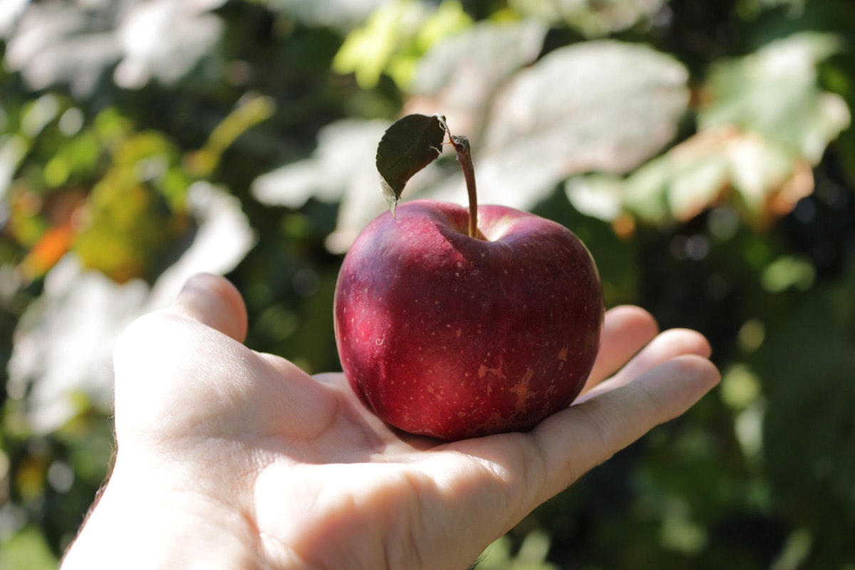 Realgraphy.org gallery image