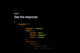 RequestResponse.app gallery image