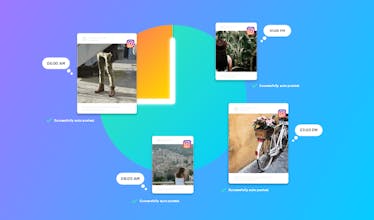 Nextpost - Instagram gallery image