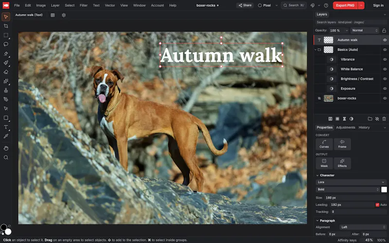 koi.photo screenshot 1