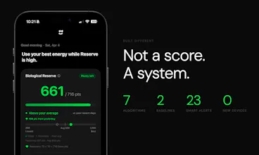 Supernormal gallery image