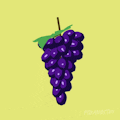 Sour Grapes