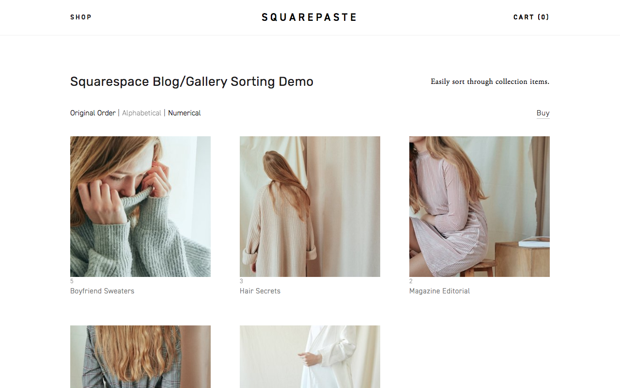 Squarespaste gallery image