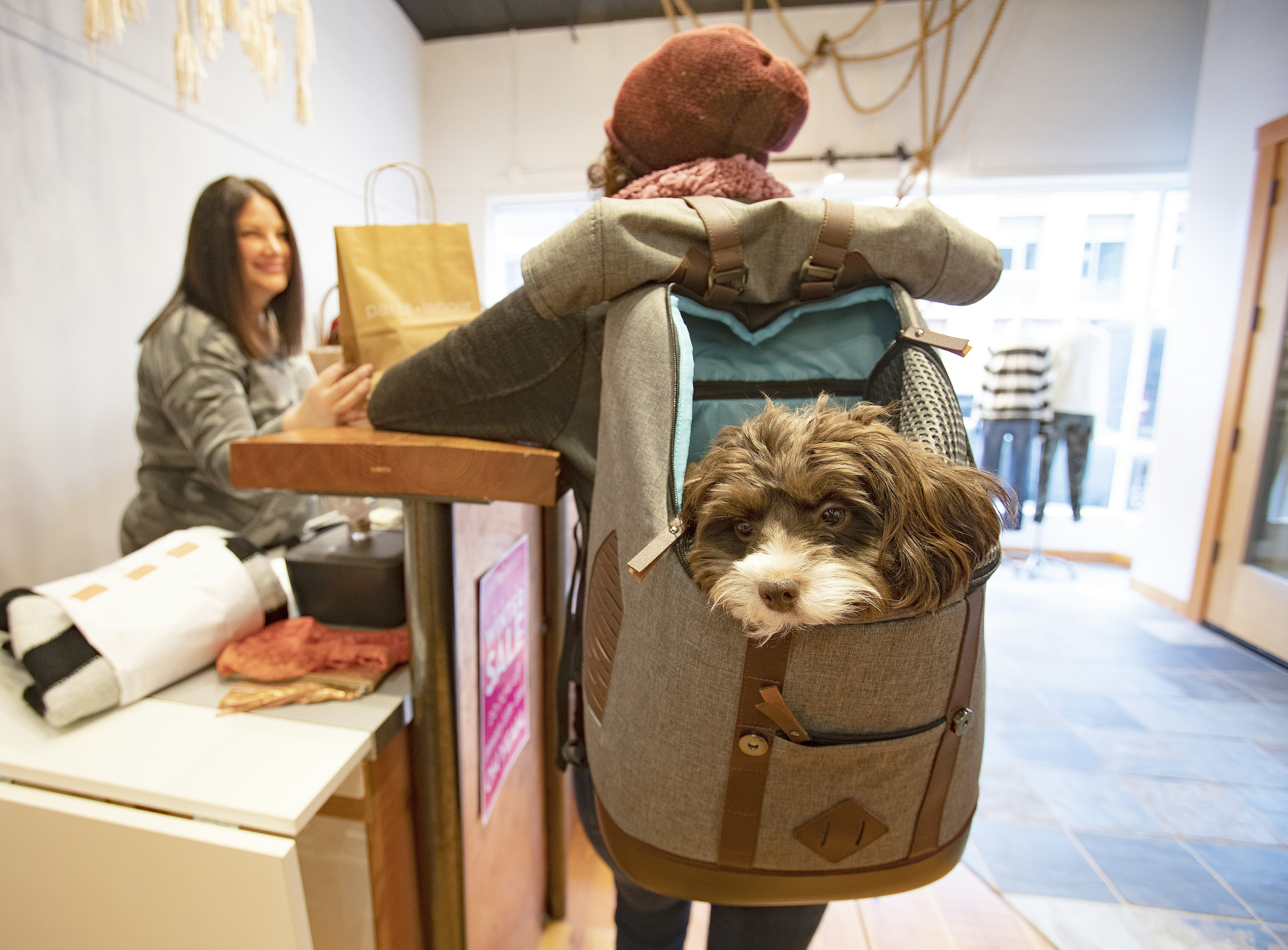 Kurgo K9 Rucksack gallery image