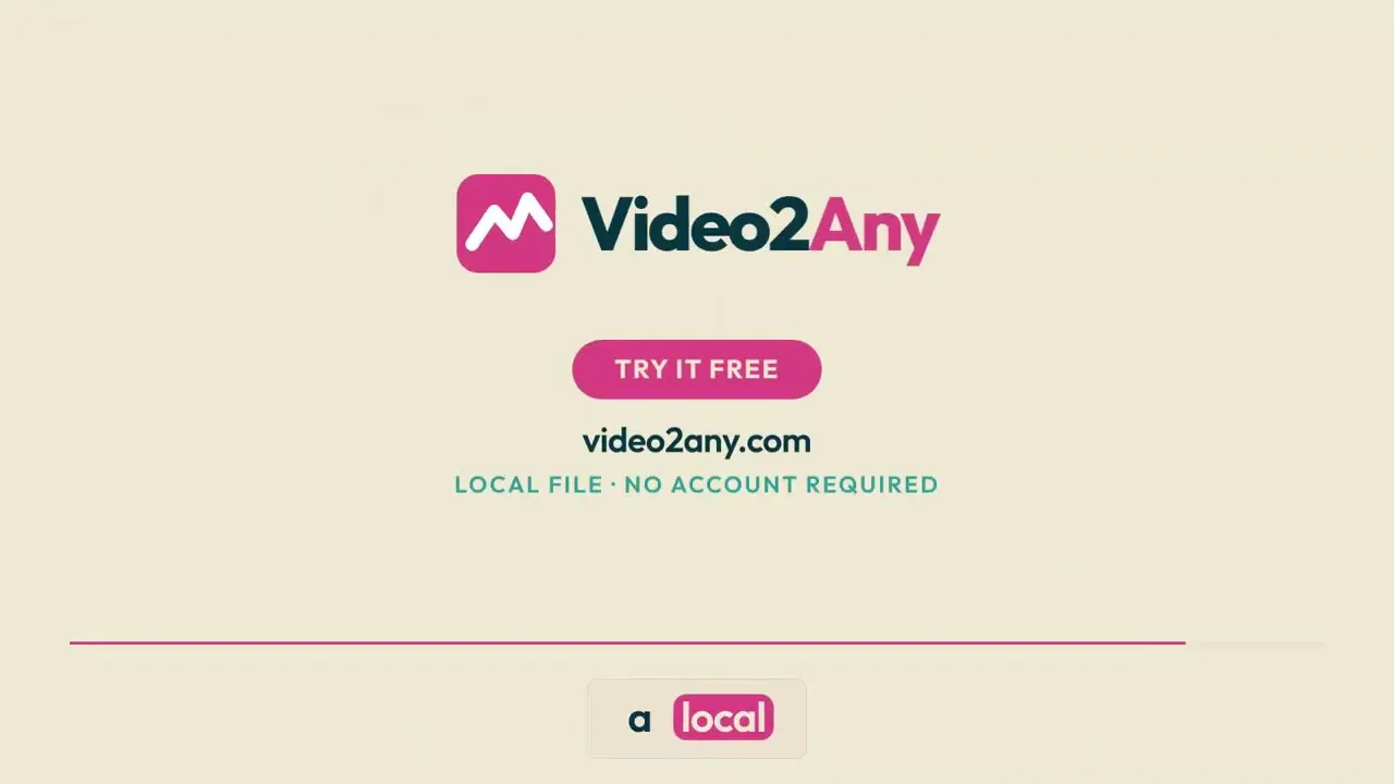 Video2Any gallery image