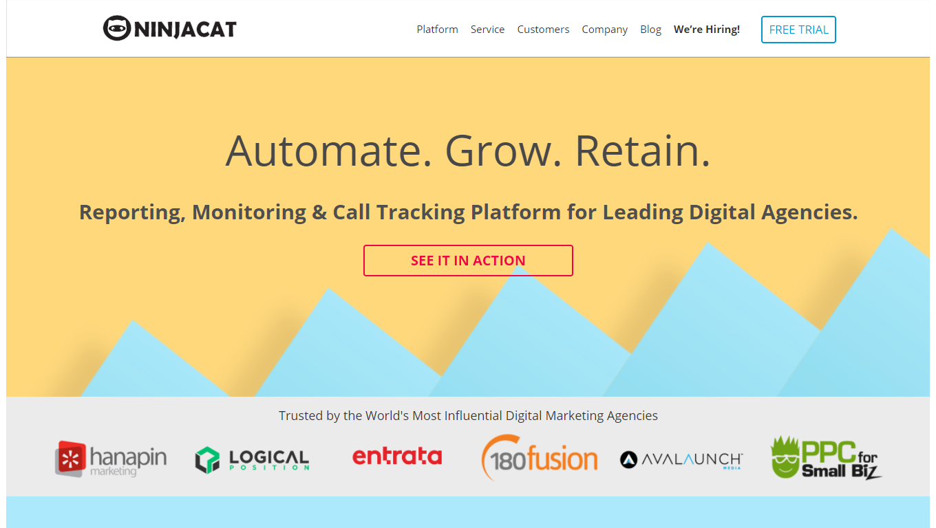 NinjaCat gallery image