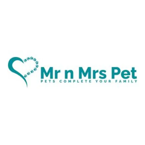 Dog Hostel in Bangalore