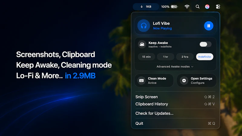 Synapse screenshot 2