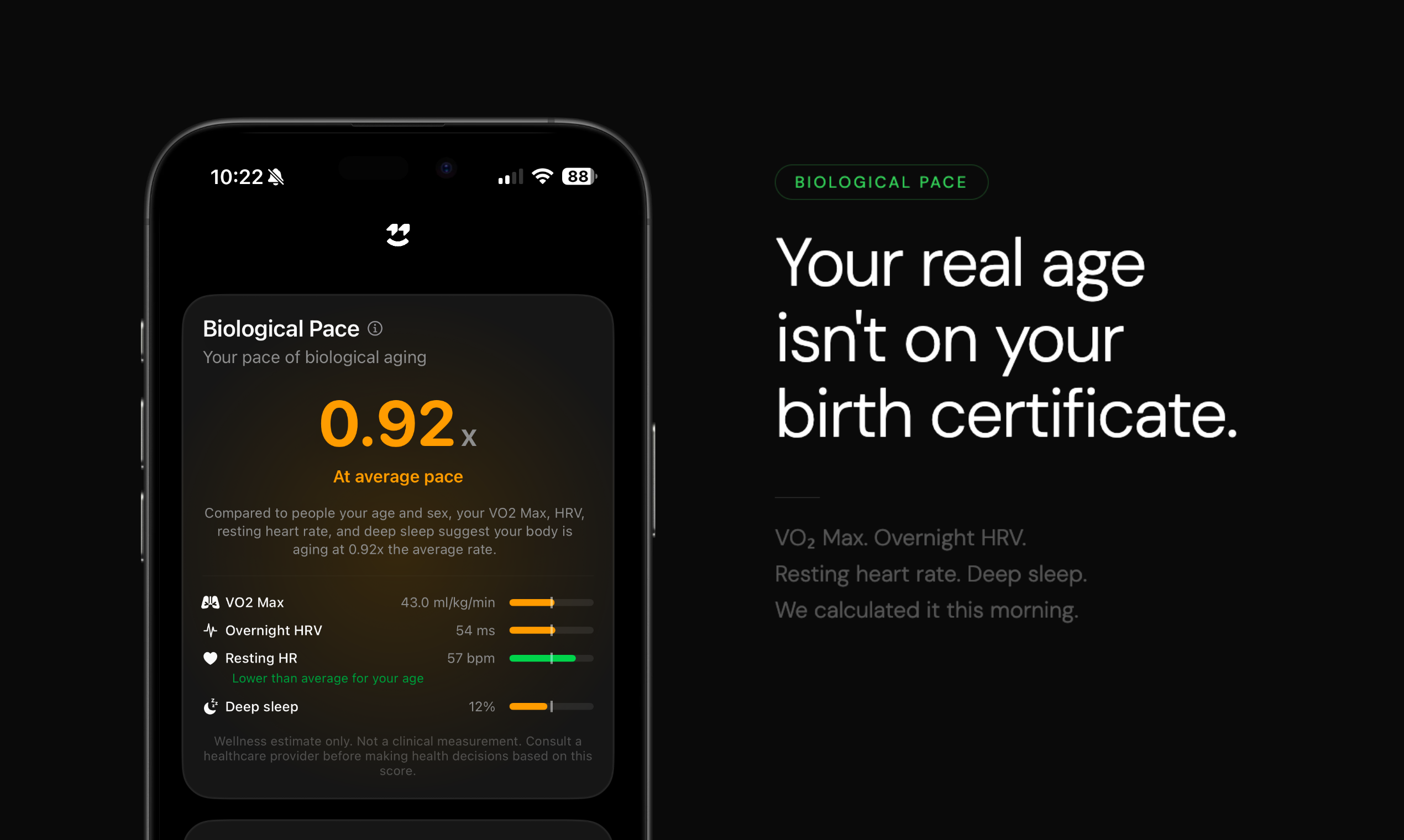 Supernormal gallery image