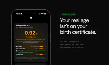 Supernormal gallery image