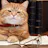 Outreach Cat