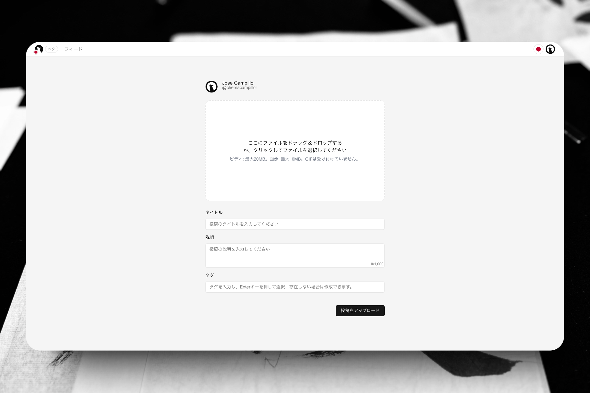 Cokatoo gallery image