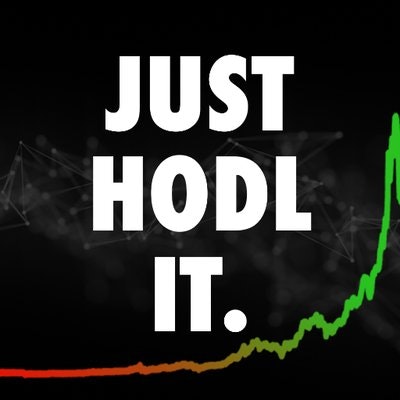 Just Hodl It
