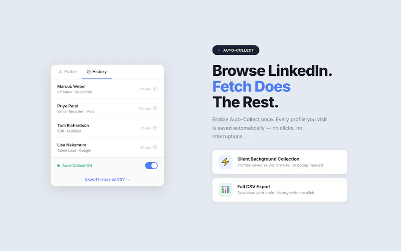 Fetch — LinkedIn Profile to Clipboard screenshot 2