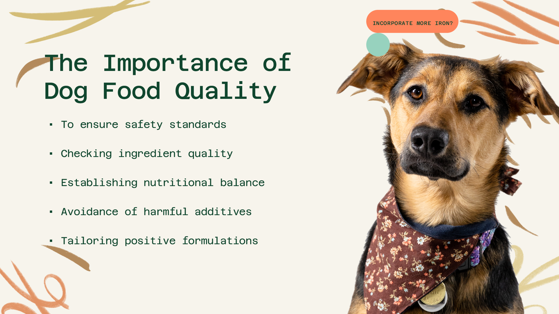 Relatório de comida para cães grátis para Everfur media 4